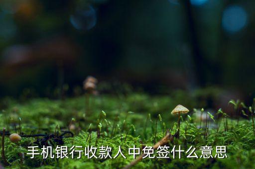 銀行轉(zhuǎn)賬免簽什么意思，轉(zhuǎn)賬免簽標(biāo)志是怎么回事