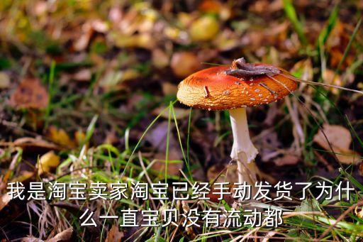 我是淘寶賣家淘寶已經(jīng)手動(dòng)發(fā)貨了為什么一直寶貝沒有流動(dòng)都