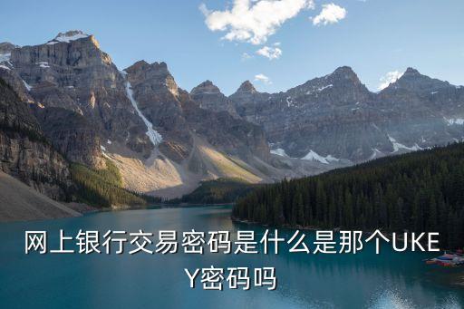 網(wǎng)上銀行交易密碼是什么是那個UKEY密碼嗎