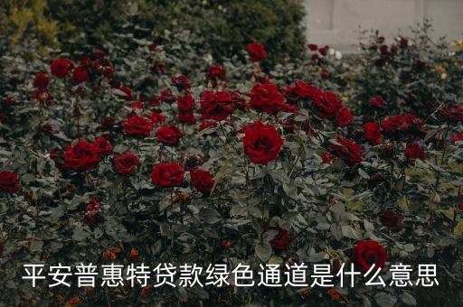平安普惠特貸款綠色通道是什么意思