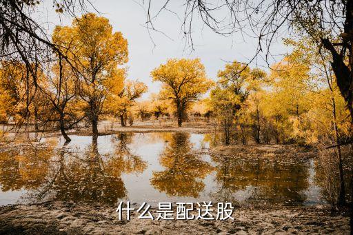 什么是 公司 送股份，什么是配送股