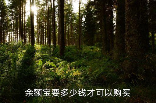 余額寶要多少錢才可以購(gòu)買