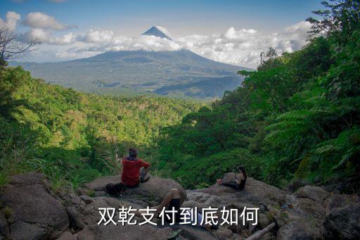雙乾支付到底如何