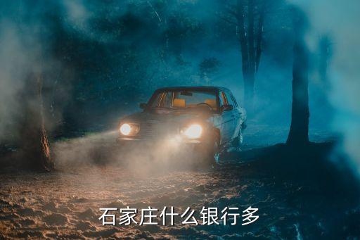 石家莊什么銀行多