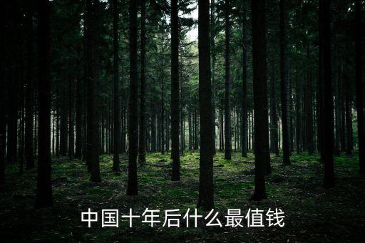 中國十年后什么最值錢