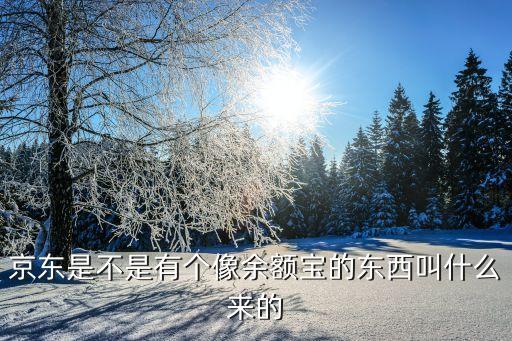 京東是不是有個像余額寶的東西叫什么來的