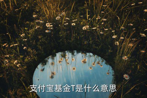 t日是什么，T1工作日什么意思啊