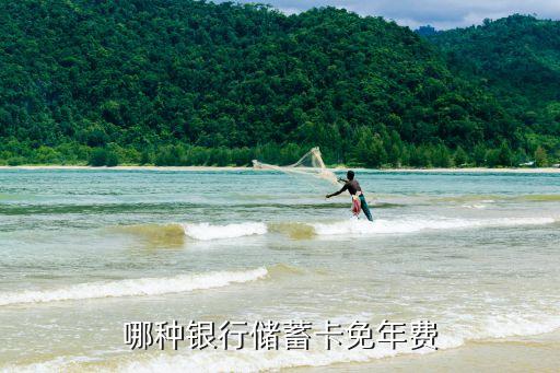 什么銀行的卡不收年費(fèi)，哪種銀行儲(chǔ)蓄卡免年費(fèi)