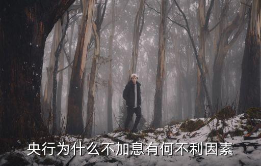 央行為什么不加息有何不利因素