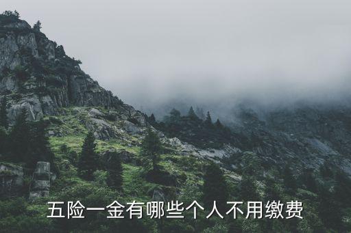 五險(xiǎn)一金有哪些個(gè)人不用繳費(fèi)