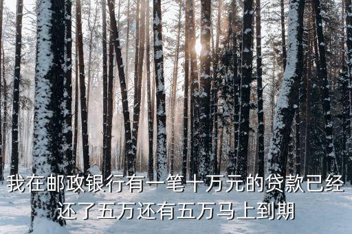 我在郵政銀行有一筆十萬(wàn)元的貸款已經(jīng)還了五萬(wàn)還有五萬(wàn)馬上到期