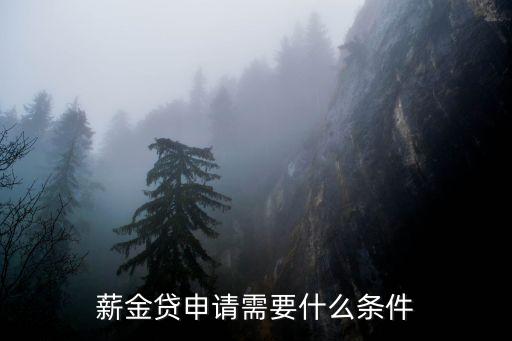 申金貸要什么條件，普金貸款需要什么條件