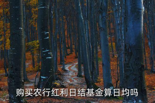 購買農(nóng)行紅利日結(jié)基金算日均嗎