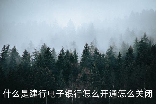 什么是建行電子銀行怎么開通怎么關閉