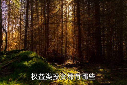 權(quán)益類投資都有哪些