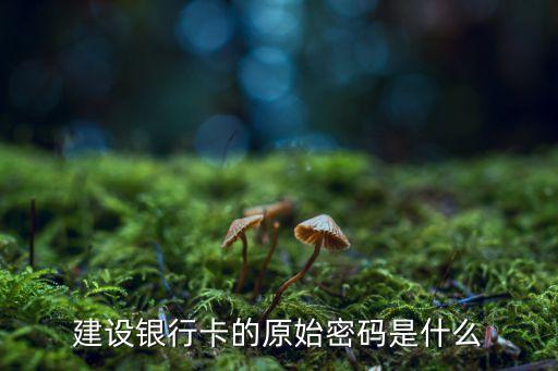 建設(shè)銀行卡的原始密碼是什么