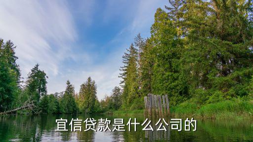 宜信全稱叫什么，宜信貸款是什么公司的