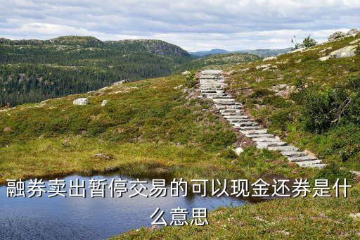 融券賣出暫停交易的可以現(xiàn)金還券是什么意思