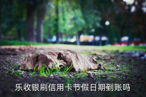 樂(lè)收銀為什么隔天到賬，樂(lè)收銀刷信用卡節(jié)假日期到賬嗎