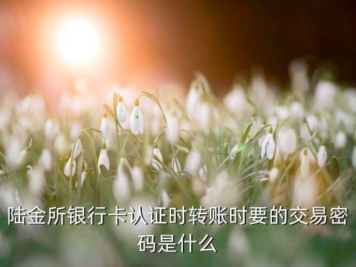陸金所銀行卡認(rèn)證時轉(zhuǎn)賬時要的交易密碼是什么