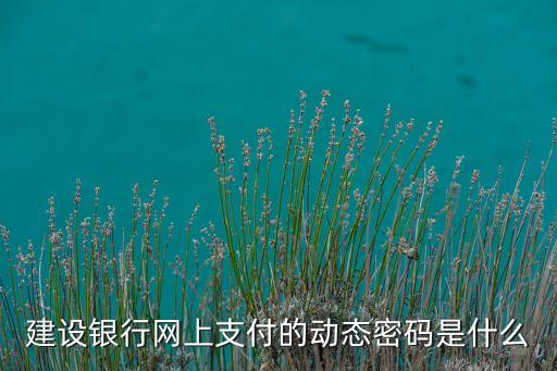 建行卡 在線支付 密碼是什么，建行卡支付寶密碼是什么