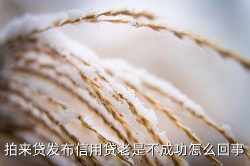 拍來貸發(fā)布信用貸老是不成功怎么回事