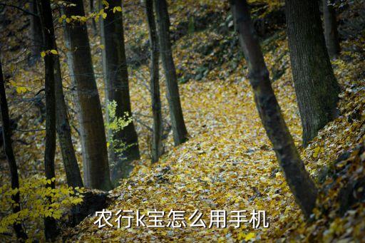 農(nóng)行k寶靠什么連接手機，農(nóng)行k寶怎么用手機