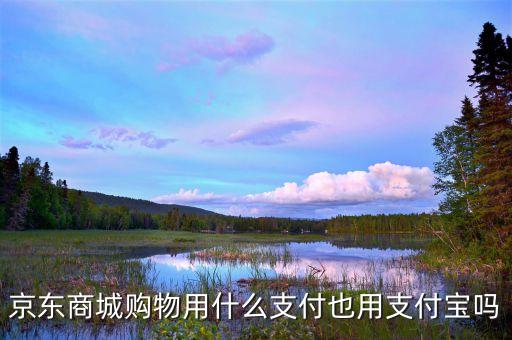 京東商城購物用什么支付也用支付寶嗎