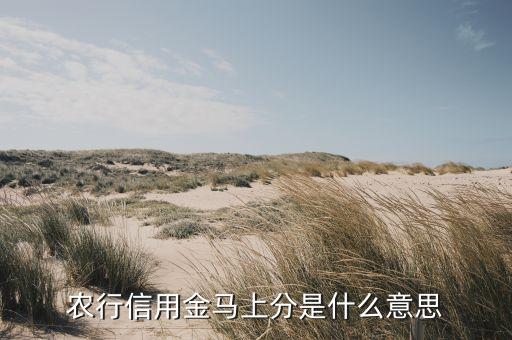 農(nóng)行信用分是什么情況，農(nóng)行信用金馬上分是什么去哪辦理