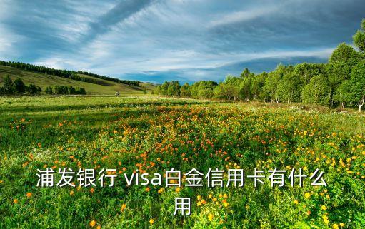 visa白金卡有什么用，中國銀行VISA白金信用卡具有哪些特權(quán)
