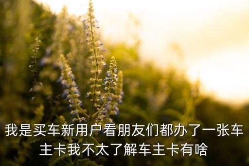 辦理車主卡有什么好處，我是買車新用戶看朋友們都辦了一張車主卡我不太了解車主卡有啥