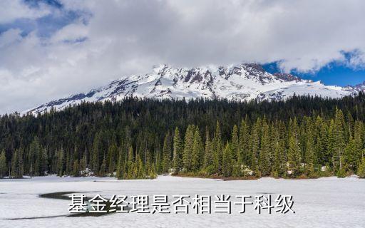 安徽籍的基金經(jīng)理為什么好，基金經(jīng)理是否相當于科級