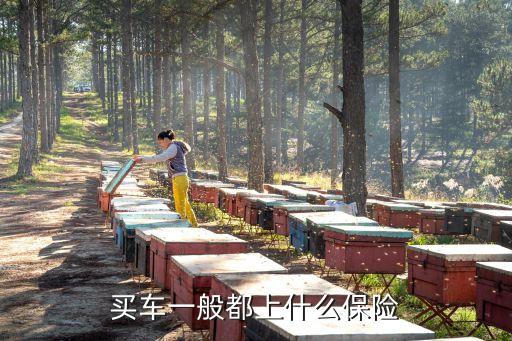 車(chē)輛需要買(mǎi)什么險(xiǎn)，車(chē)要交什么保險(xiǎn)
