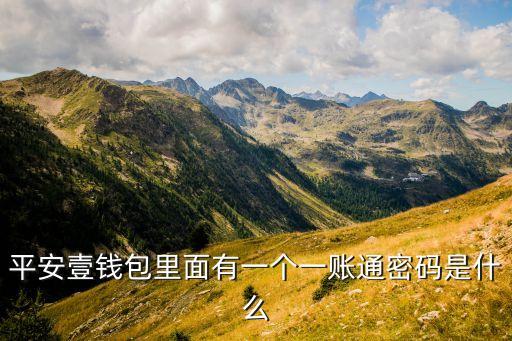 平安壹錢包里面有一個一賬通密碼是什么