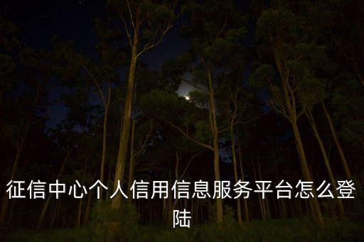 征信中心個(gè)人信用信息服務(wù)平臺(tái)怎么登陸
