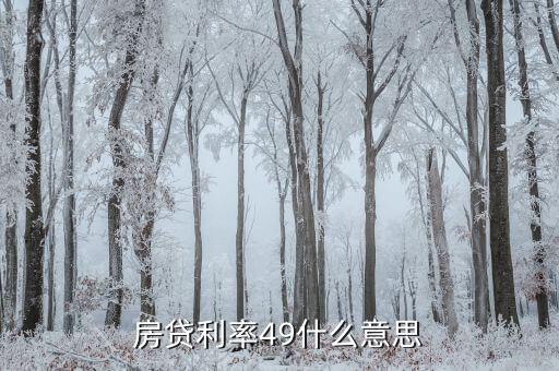 貸款年利率49什么意思，商貸利率49是什么意思