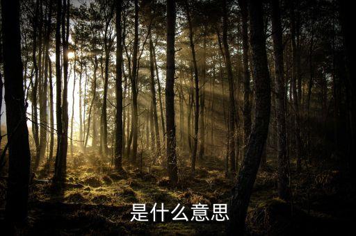  是什么意思