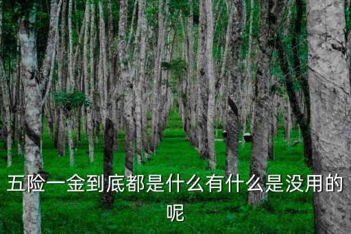 五險(xiǎn)一金到底都是什么有什么是沒用的呢