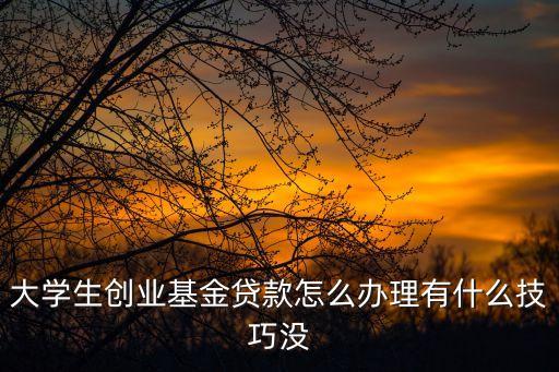 大學(xué)生創(chuàng)業(yè)基金貸款怎么辦理有什么技巧沒