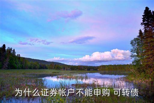 為什么普通投資者不能購買債券，為什么證券帳戶不能申購 可轉債
