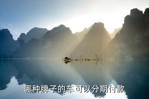 什么樣的二手車能按揭，哪種牌子的車可以分期付款