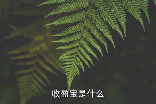 收盈寶是什么