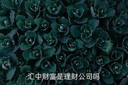 匯中財富是理財公司嗎