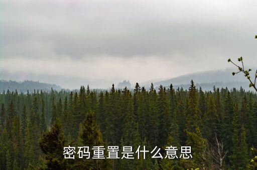 重置股票密碼是什么意思是什么，密碼重置是什么意思