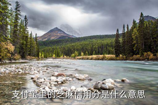 芝麻分數(shù)是什么意思，什么叫芝麻分