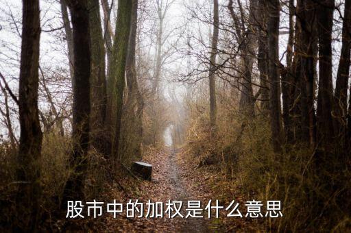 滬深加權(quán)是什么意思，什么是股指期貨加權(quán)指數(shù)