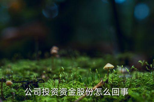為什么我的資金股份，公司投資資金股份怎么回事