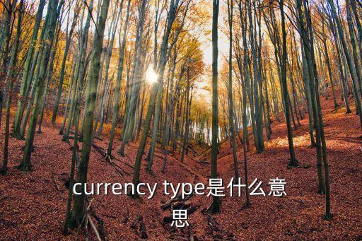 貨幣類型是什么意思，c貨幣類型 用什么定義