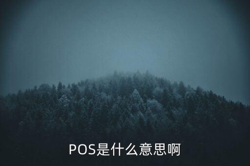 點(diǎn)刷poss機(jī)是什么意思，pos機(jī)是什么意思