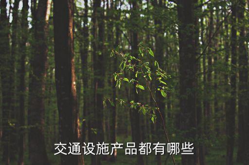 交通產(chǎn)品有哪些內(nèi)容是什么意思，請(qǐng)問(wèn)道路交通附屬設(shè)施產(chǎn)品包括哪些內(nèi)容